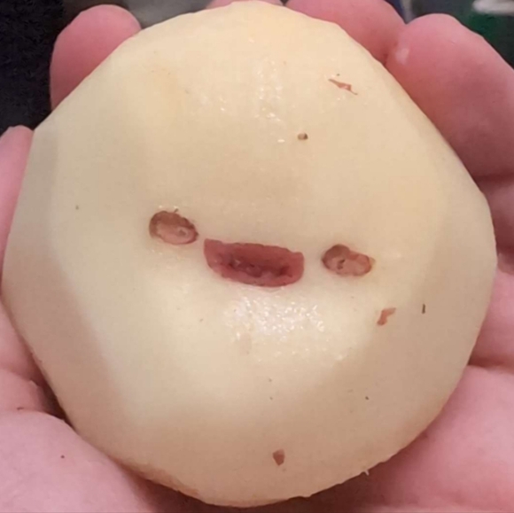 Meet your Posher, Shelby - Picture 9 of 9